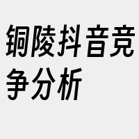 铜陵抖音竞争分析