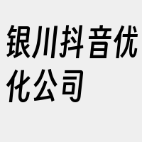 银川抖音优化公司