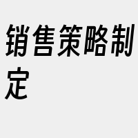 销售策略制定