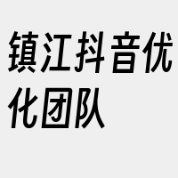 镇江抖音优化团队