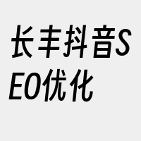 长丰抖音SEO优化