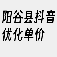 阳谷县抖音优化单价