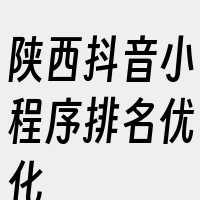 陕西抖音小程序排名优化