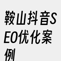 鞍山抖音SEO优化案例