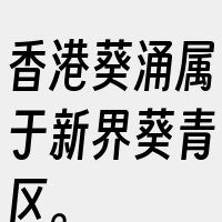 香港葵涌属于新界葵青区。