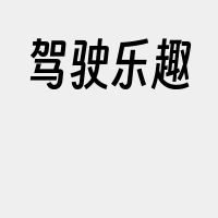 驾驶乐趣