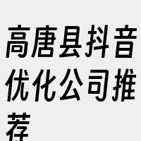 高唐县抖音优化公司推荐