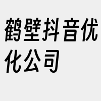 鹤壁抖音优化公司