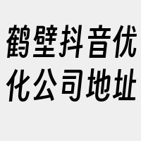 鹤壁抖音优化公司地址