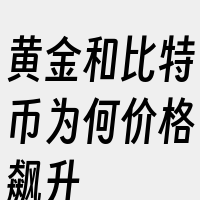 黄金和比特币为何价格飙升