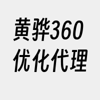 黄骅360优化代理