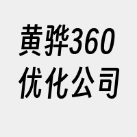 黄骅360优化公司