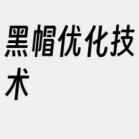 黑帽优化技术