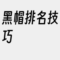 黑帽排名技巧