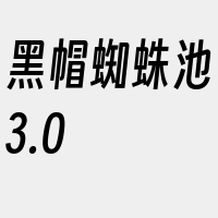 黑帽蜘蛛池3.0