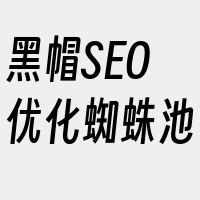 黑帽SEO优化蜘蛛池