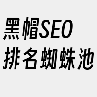 黑帽SEO排名蜘蛛池