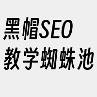 黑帽SEO教学蜘蛛池