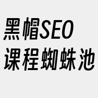 黑帽SEO课程蜘蛛池