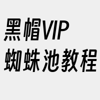 黑帽VIP蜘蛛池教程