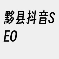 黟县抖音SEO