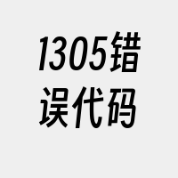 1305错误代码