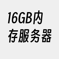 16GB内存服务器