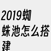 2019蜘蛛池怎么搭建