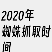 2020年蜘蛛抓取时间