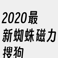 2020最新蜘蛛磁力搜狗