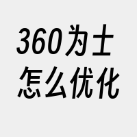 360为士怎么优化