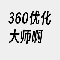 360优化大师啊