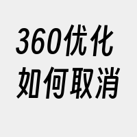 360优化如何取消