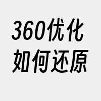 360优化如何还原