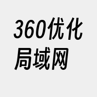 360优化局域网