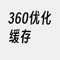 360优化缓存