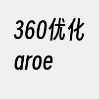 360优化aroe