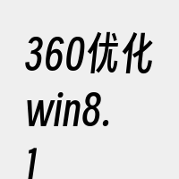 360优化win8.1