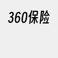 360保险