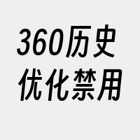 360历史优化禁用