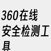 360在线安全检测工具