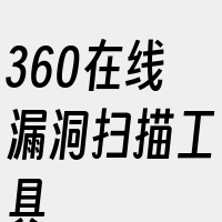 360在线漏洞扫描工具