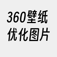 360壁纸优化图片