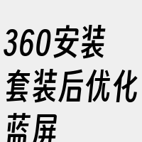 360安装套装后优化蓝屏