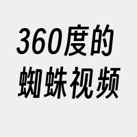 360度的蜘蛛视频