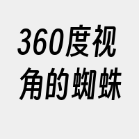 360度视角的蜘蛛