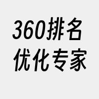 360排名优化专家