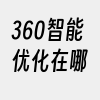 360智能优化在哪