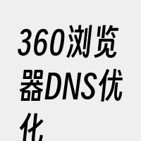 360浏览器DNS优化