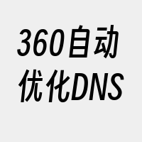 360自动优化DNS
